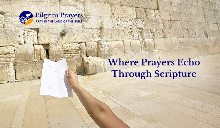 Devout believer in prayer at the Western Wall in Jerusalem.