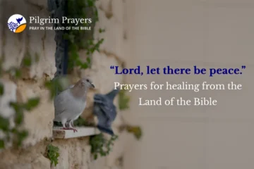 A dove perched on a stone wall in Jerusalem, a gentle symbol of peace and prayer amid conflict in the Holy Land.