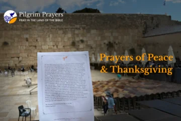 Believers praying at the Western Wall after ceasefire.