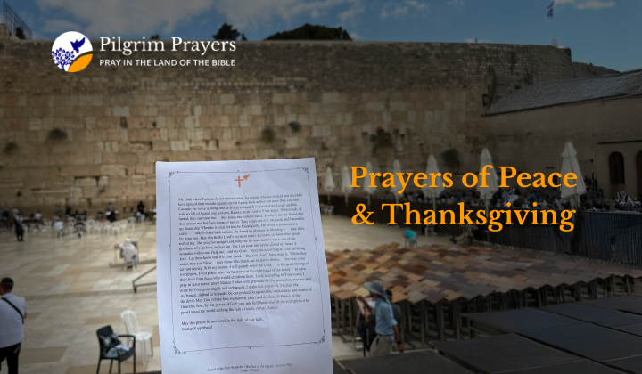 Believers praying at the Western Wall after ceasefire.