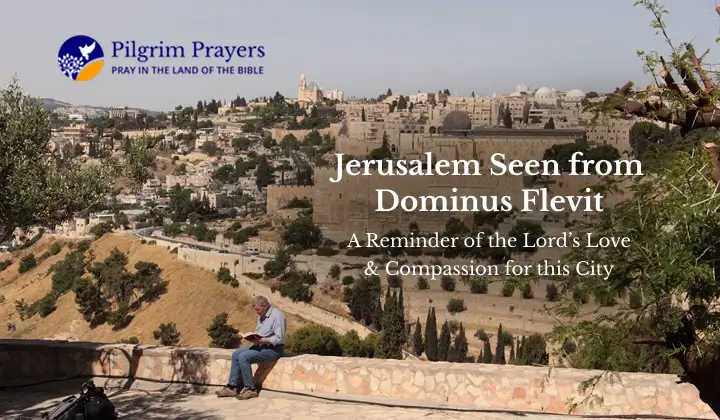 View of Jerusalem from Dominus Flevit.