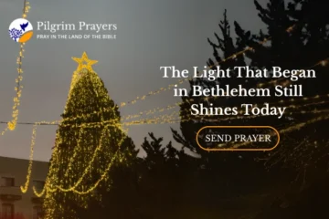 Christmas light symbolising the enduring hope of Christ