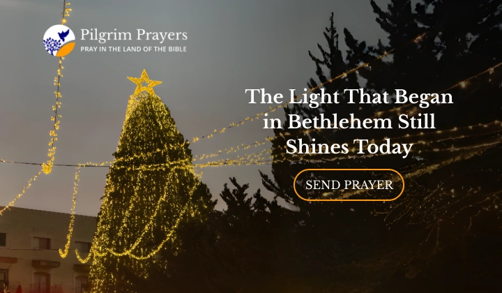 Christmas light symbolising the enduring hope of Christ