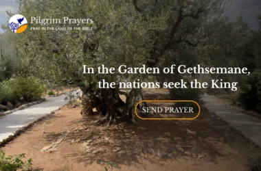 Believers from around the world gather in the Garden of Gethsemane to pray and seek Jesus, the King of all nations.