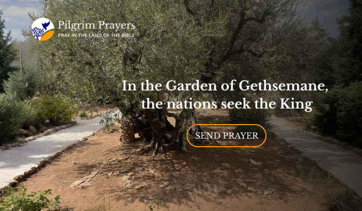 Believers from around the world gather in the Garden of Gethsemane to pray and seek Jesus, the King of all nations.