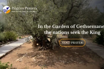 Believers praying in the Garden of Gethsemane near Jerusalem