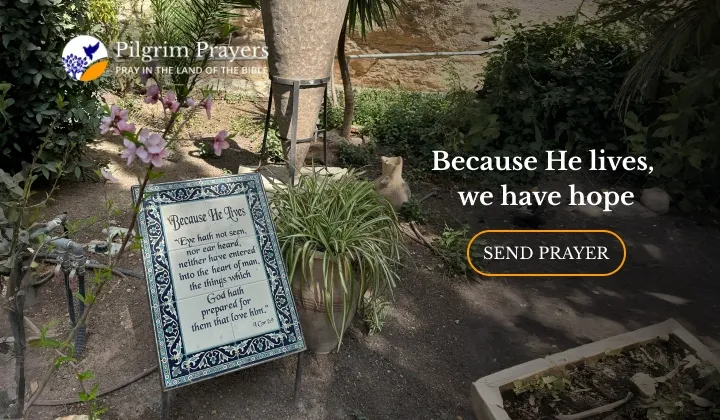 Scripture sign in the Garden Tomb garden in Jerusalem, surrounded by plants and ancient stone walls