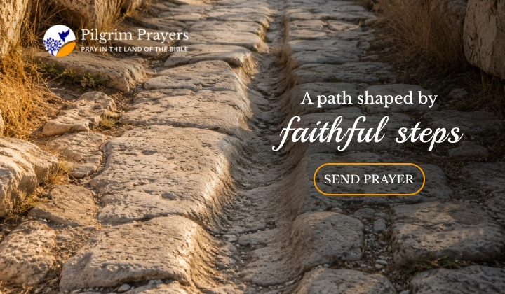 Close-up of a worn limestone pathway with smooth stone ruts and dry grass along the edges in warm afternoon sunlight