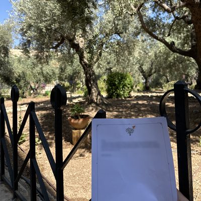 A printed prayer held among the olive trees of Gethsemane
